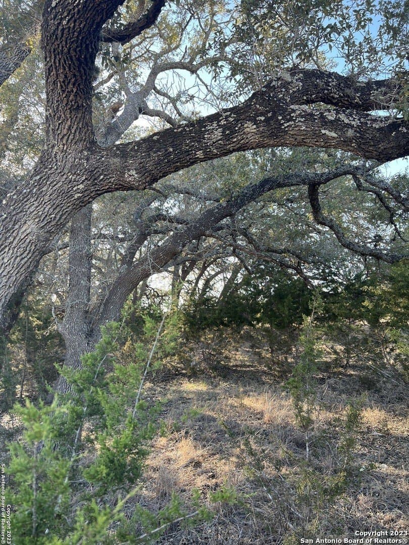 2.78 acres in Bandera County gallery image 2