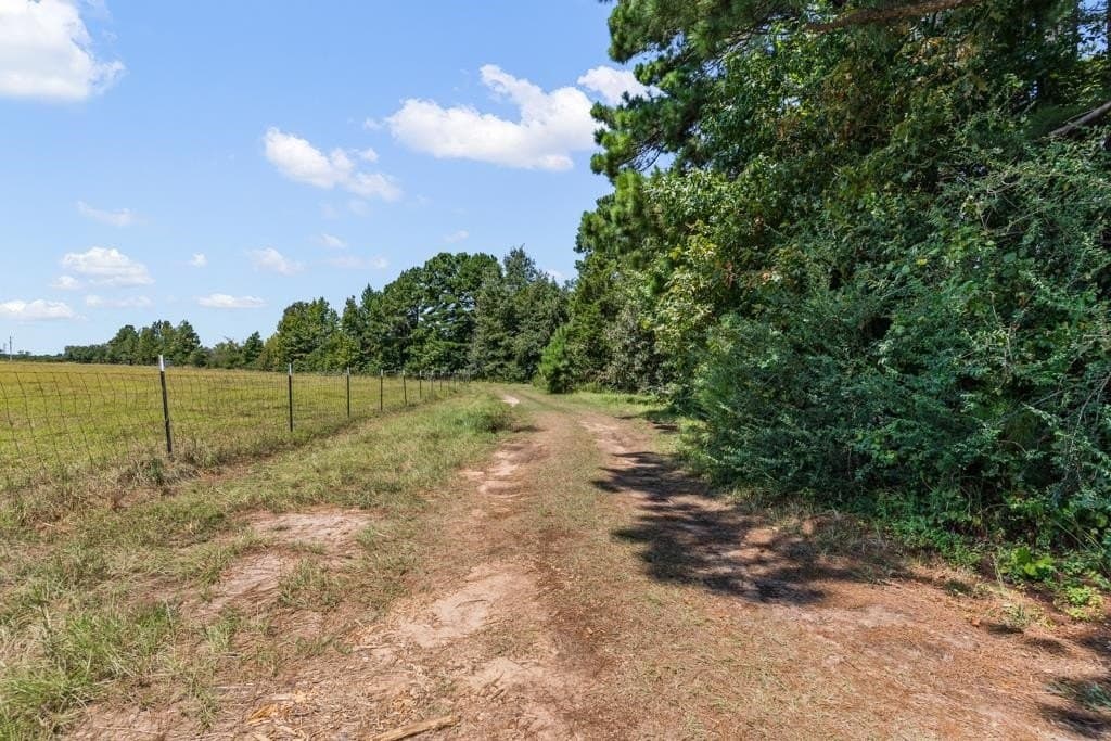 11 acres in Harrison County - photo 8