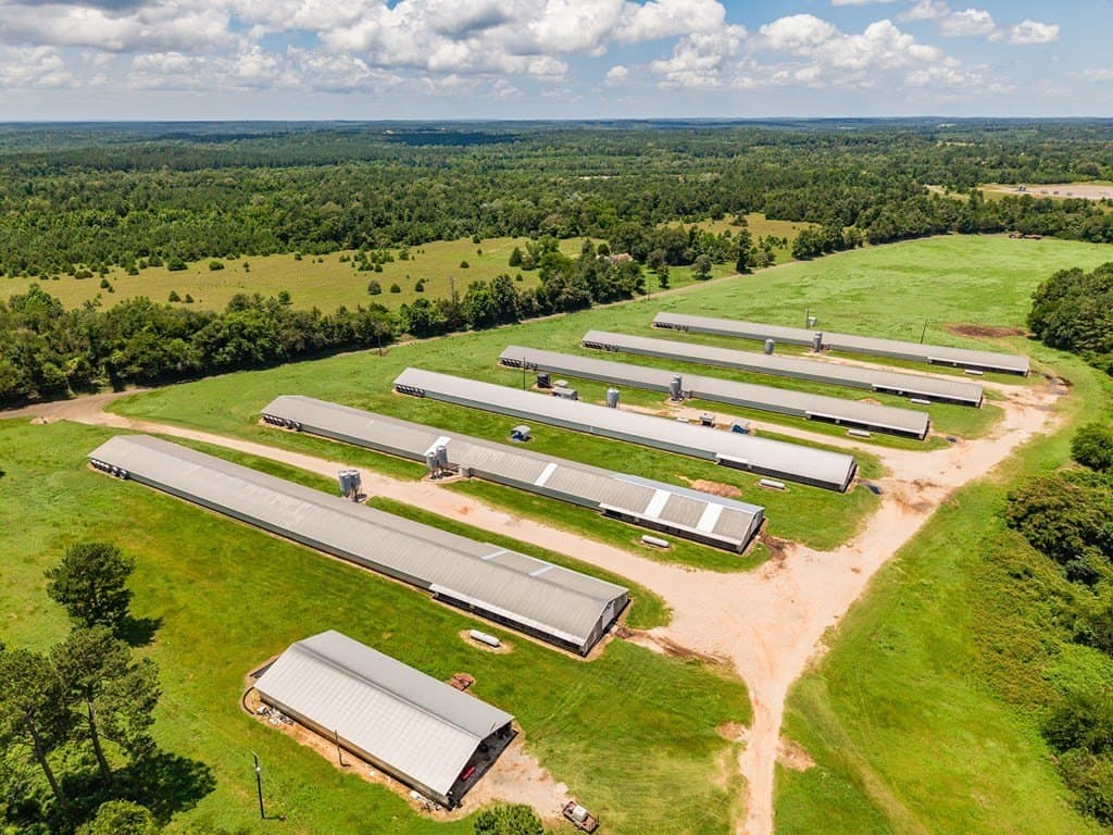 77.59 acres in Texas County - photo 6