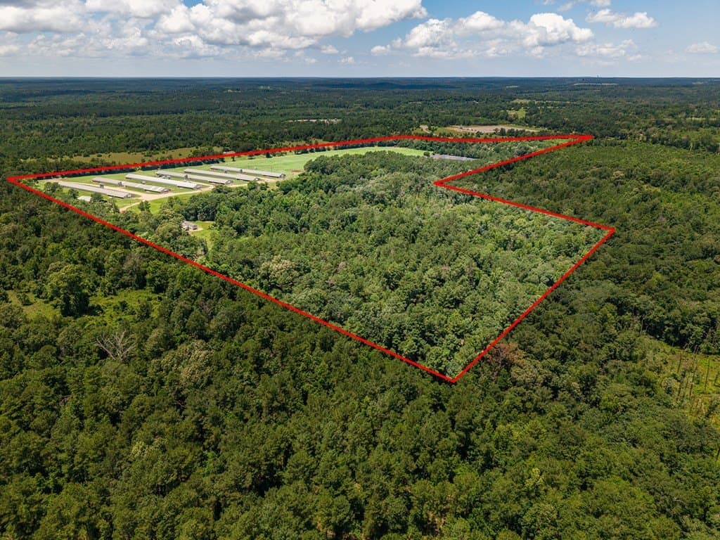 77.59 acres in Texas County gallery image 2