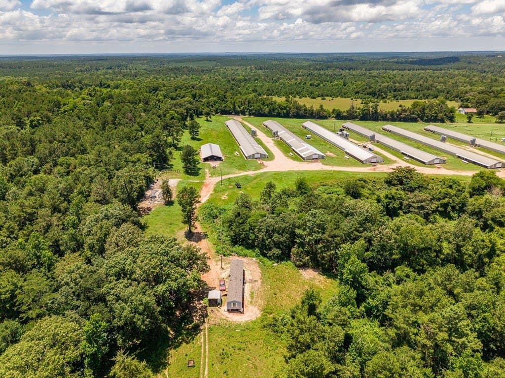 77.59 acres in Texas County gallery image 4