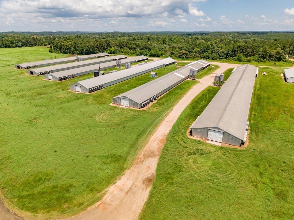 77.59 acres in Texas County - photo 8