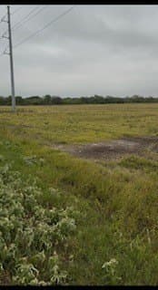 38.99 acres in Kleberg County gallery image 3