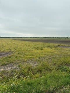 38.99 acres in Kleberg County