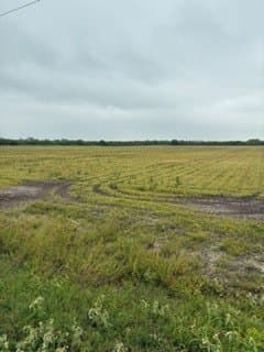 38.99 acres in Kleberg County gallery image 2