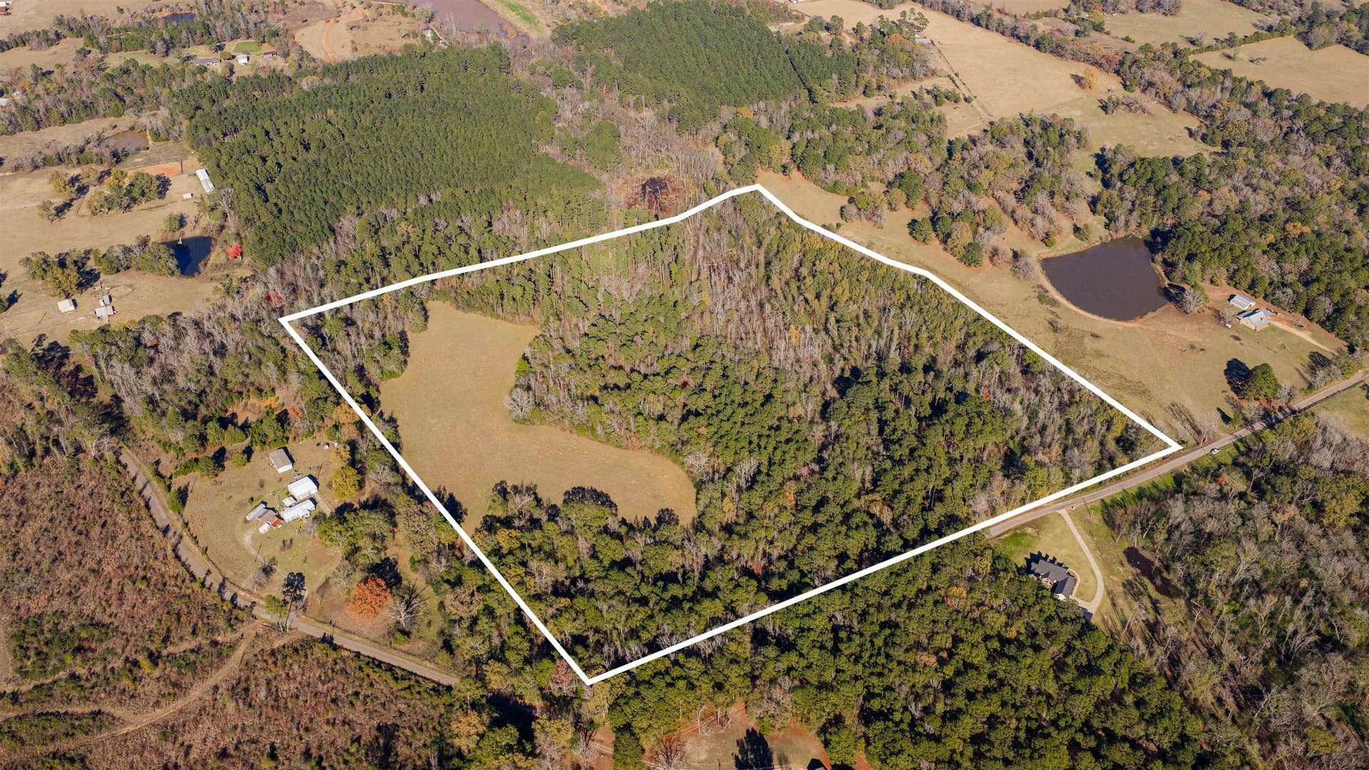 51.3 acres in Harrison County gallery image 4