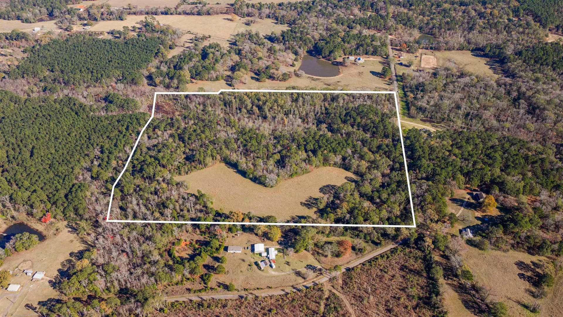 51.3 acres in Harrison County gallery image 2