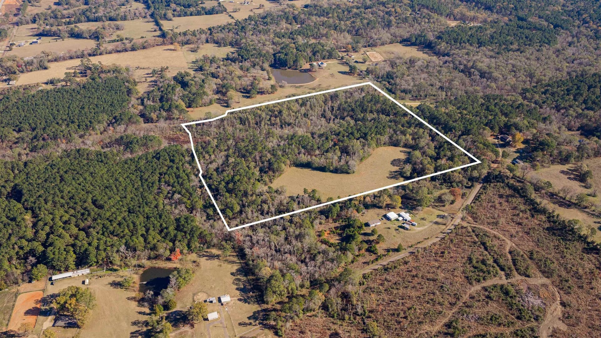 51.3 acres in Harrison County gallery image 3