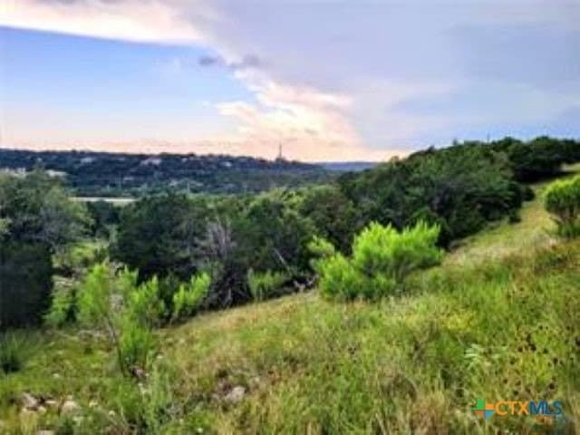 1.82 acres in Comal County gallery image 3