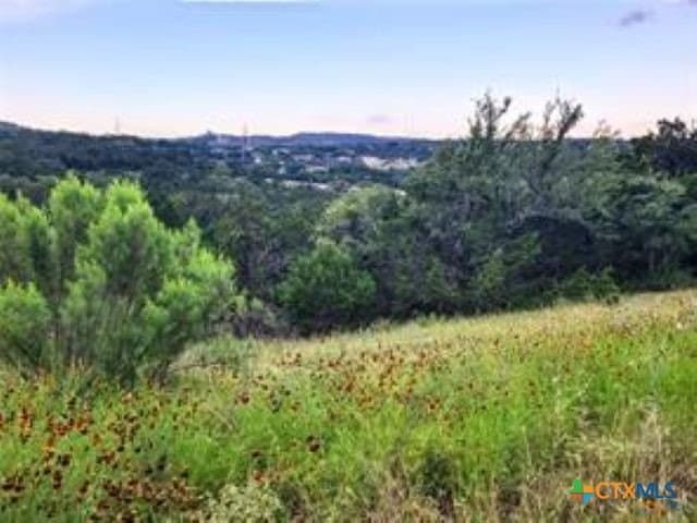 1.82 acres in Comal County - photo 6