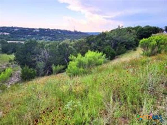 1.82 acres in Comal County gallery image 2