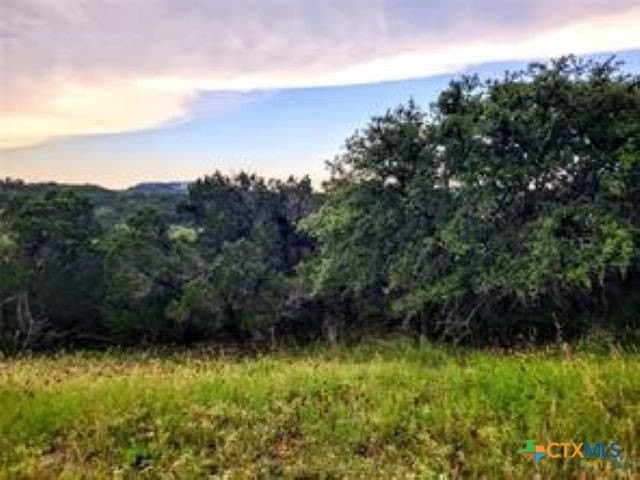 1.82 acres in Comal County gallery image 4