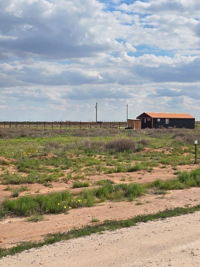 1 acres in Midland County gallery image 4