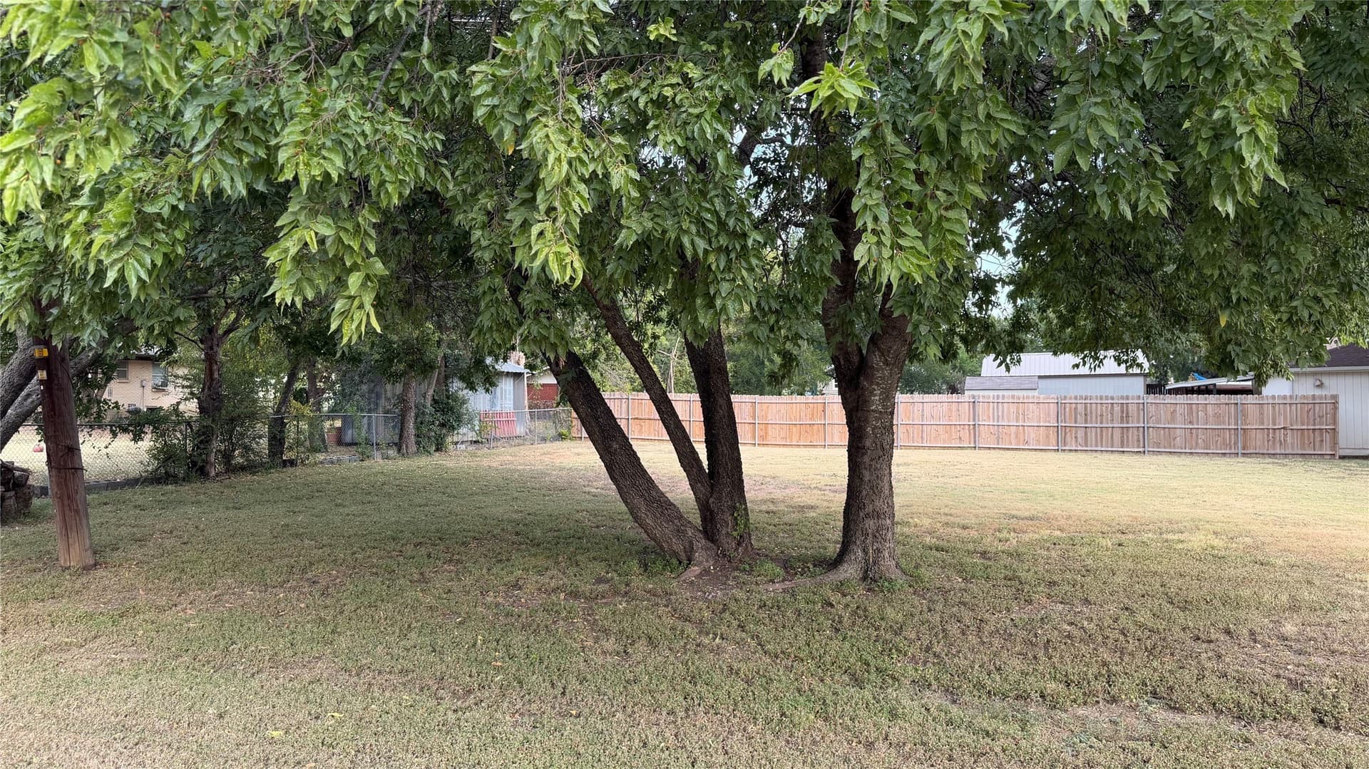 0.25 acres in Johnson County - photo 4