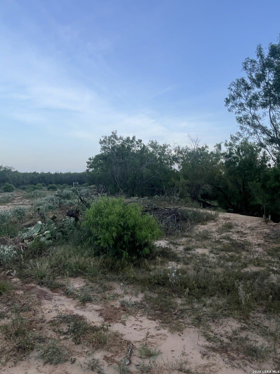 20 acres in Atascosa County - photo 11