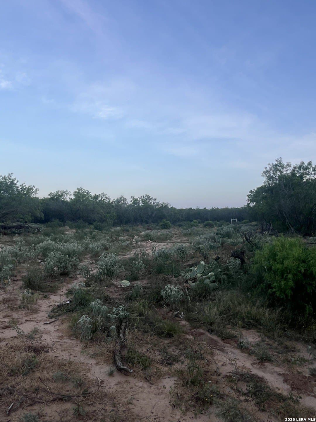 20 acres in Atascosa County - photo 10