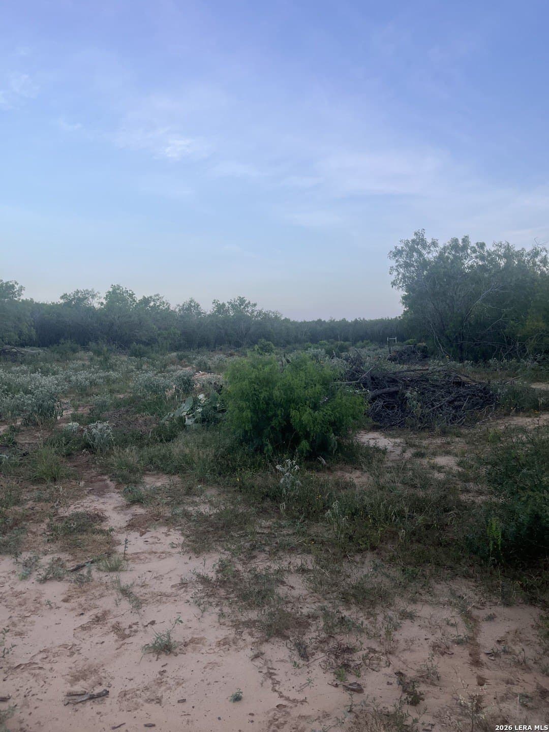20 acres in Atascosa County gallery image 4