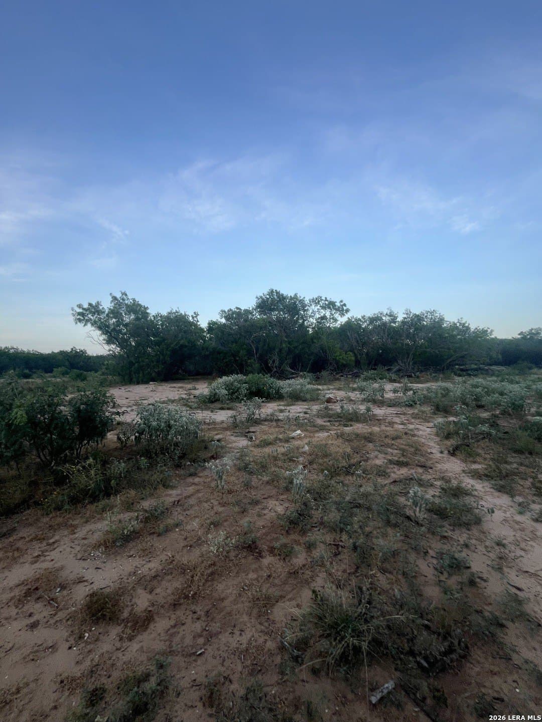 20 acres in Atascosa County - photo 8