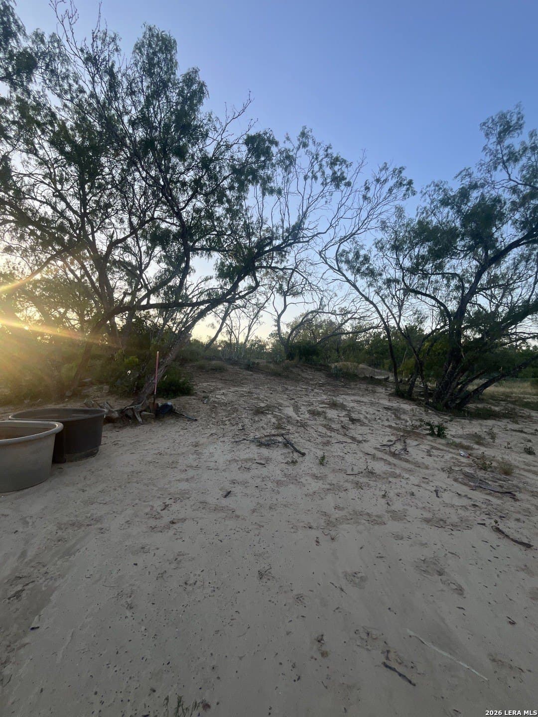 20 acres in Atascosa County gallery image 2