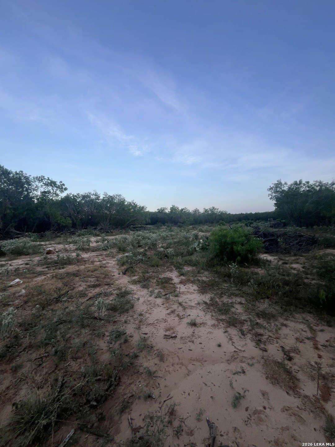 20 acres in Atascosa County - photo 7