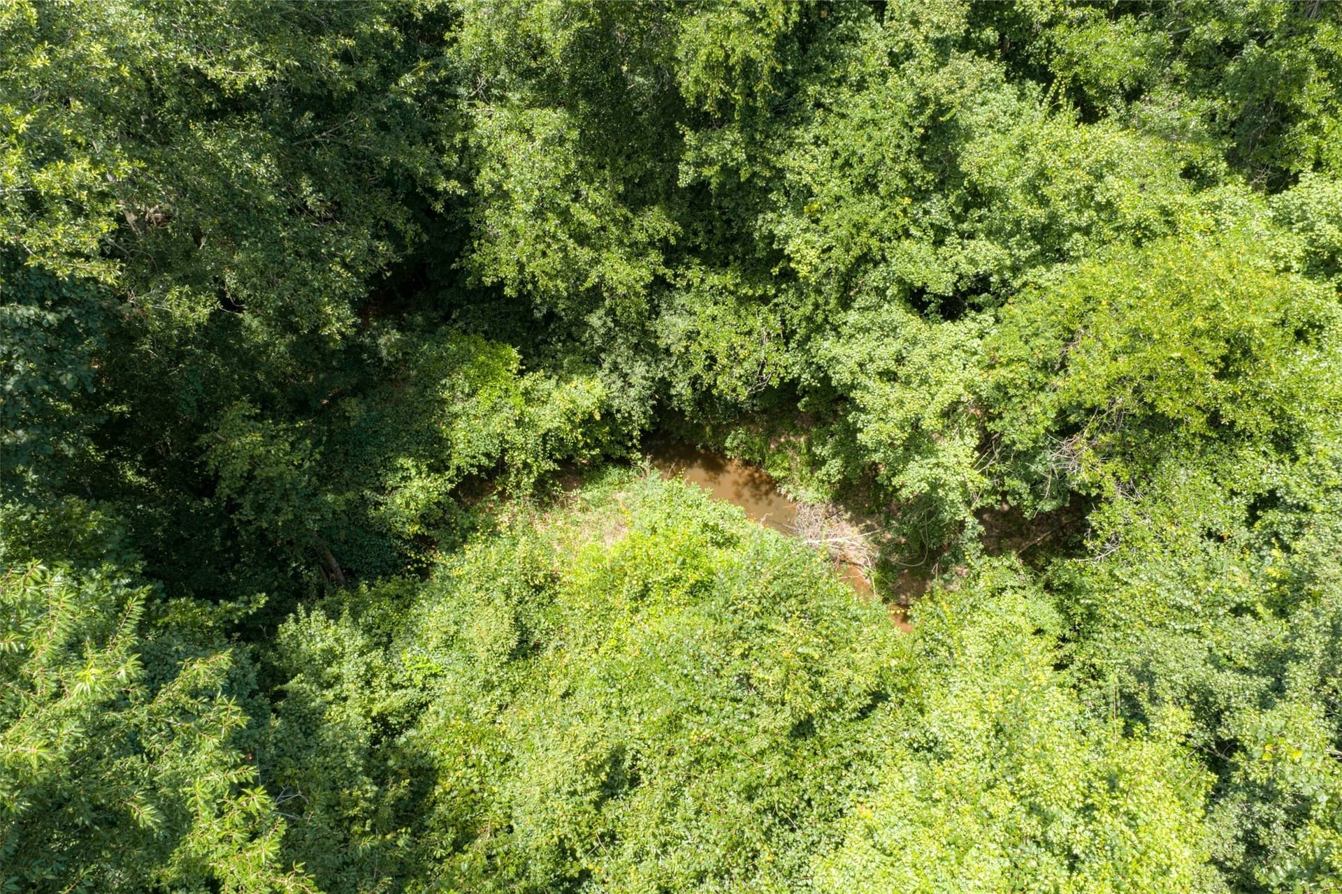 9.99 acres in Panola County - photo 2