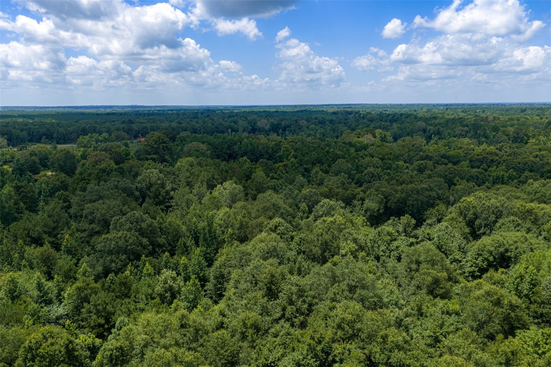 9.99 acres in Panola County - photo 9