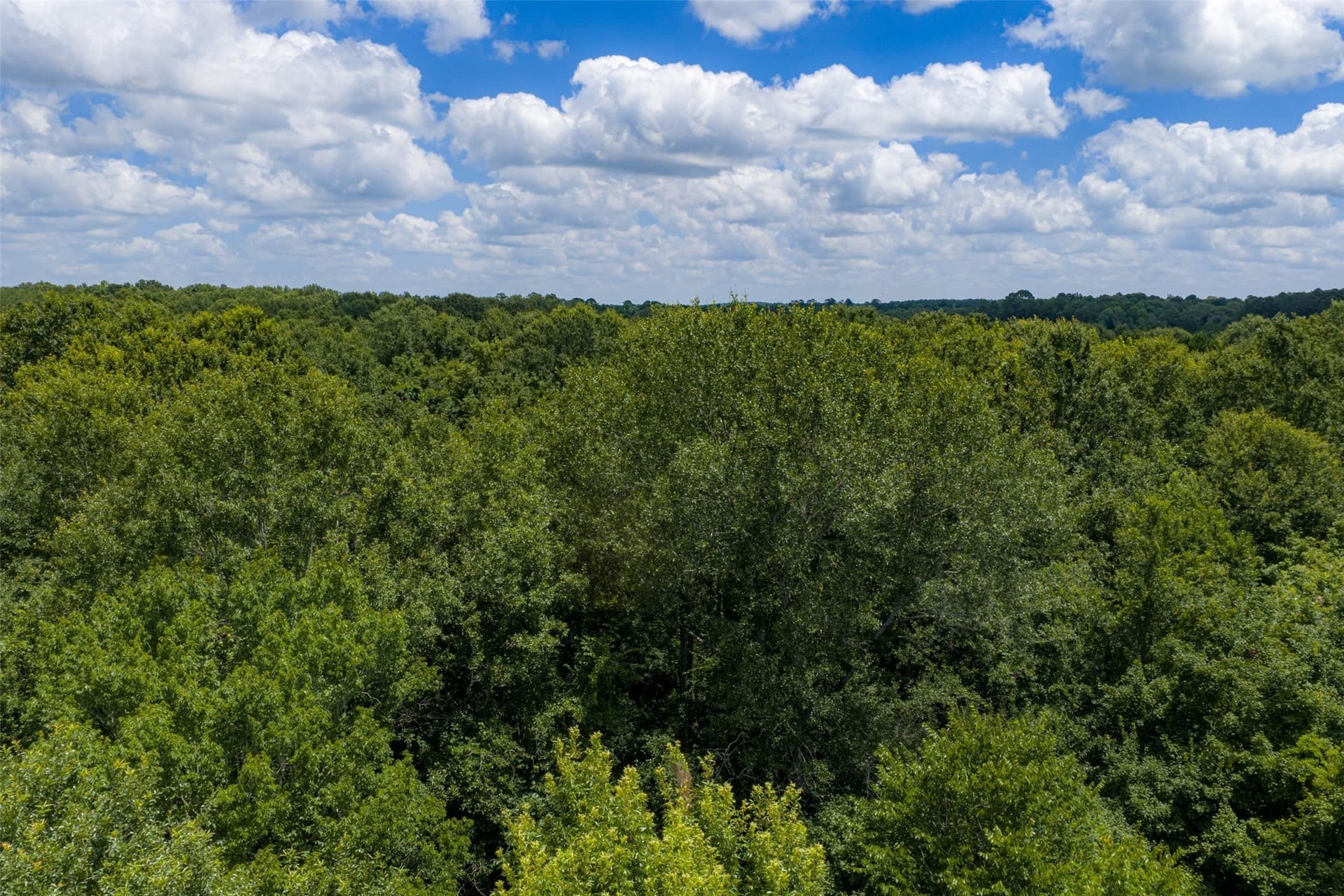 9.99 acres in Panola County - photo 27