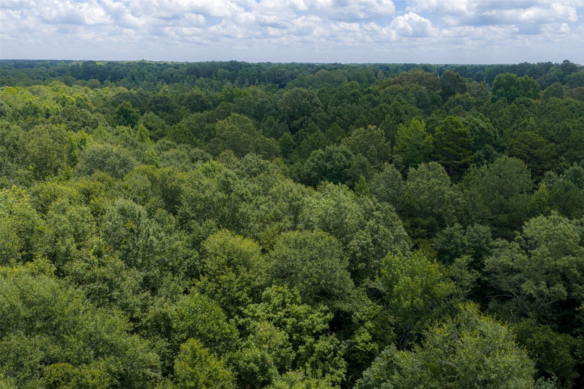 9.99 acres in Panola County - photo 23