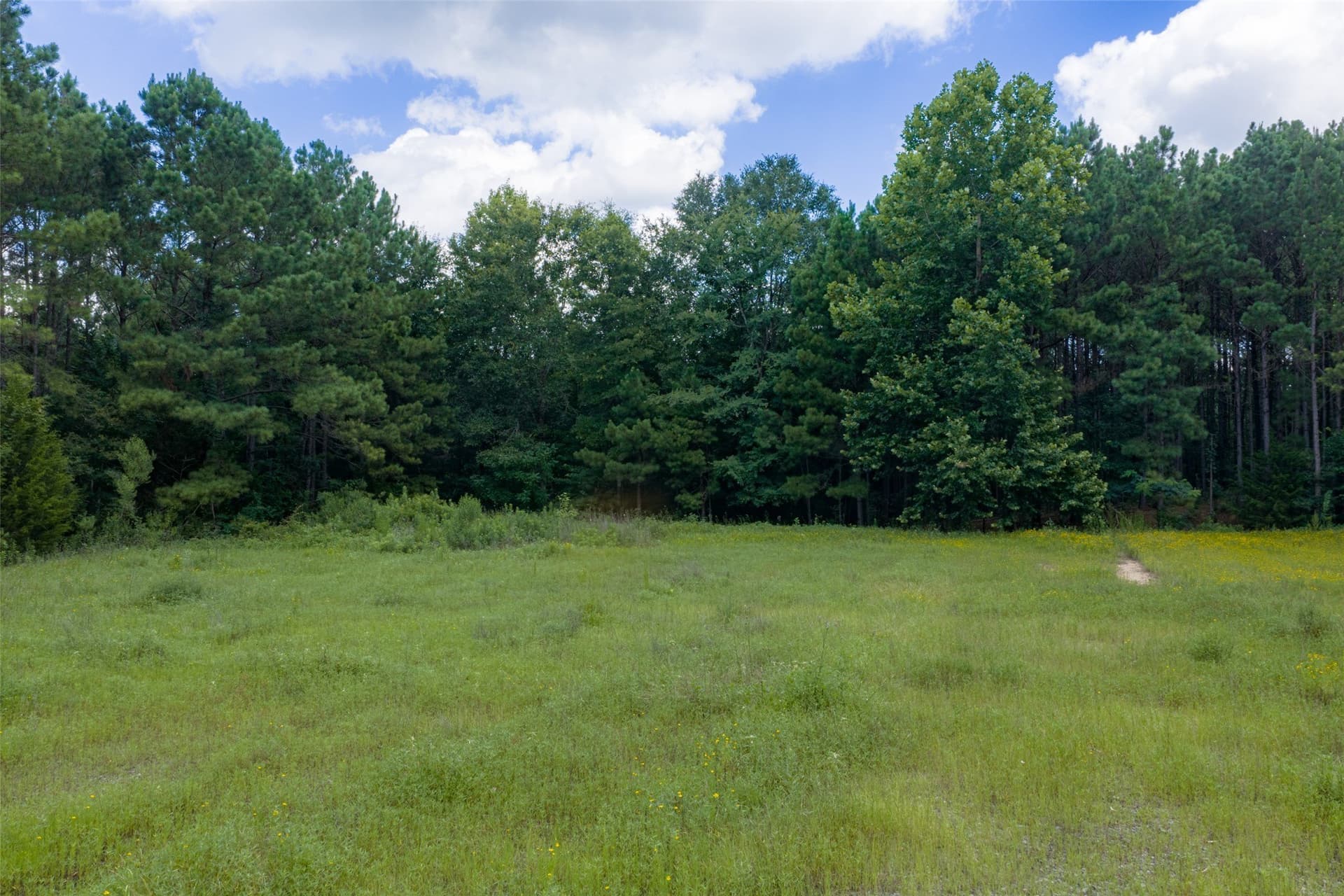 9.99 acres in Panola County - photo 8