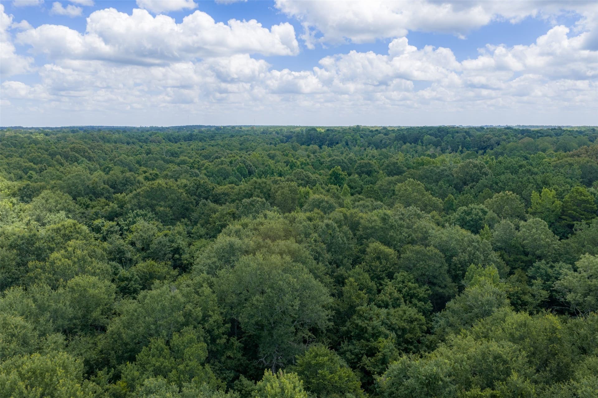 9.99 acres in Panola County - photo 21