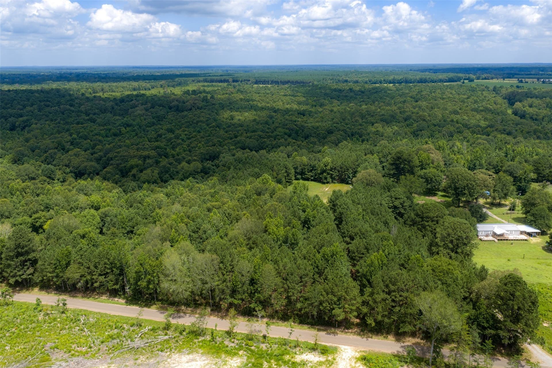 9.99 acres in Panola County - photo 11