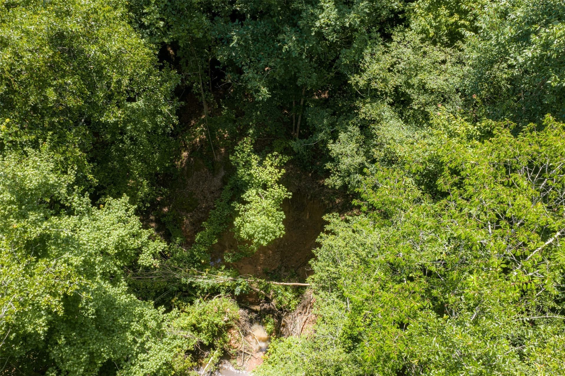 9.99 acres in Panola County - photo 12