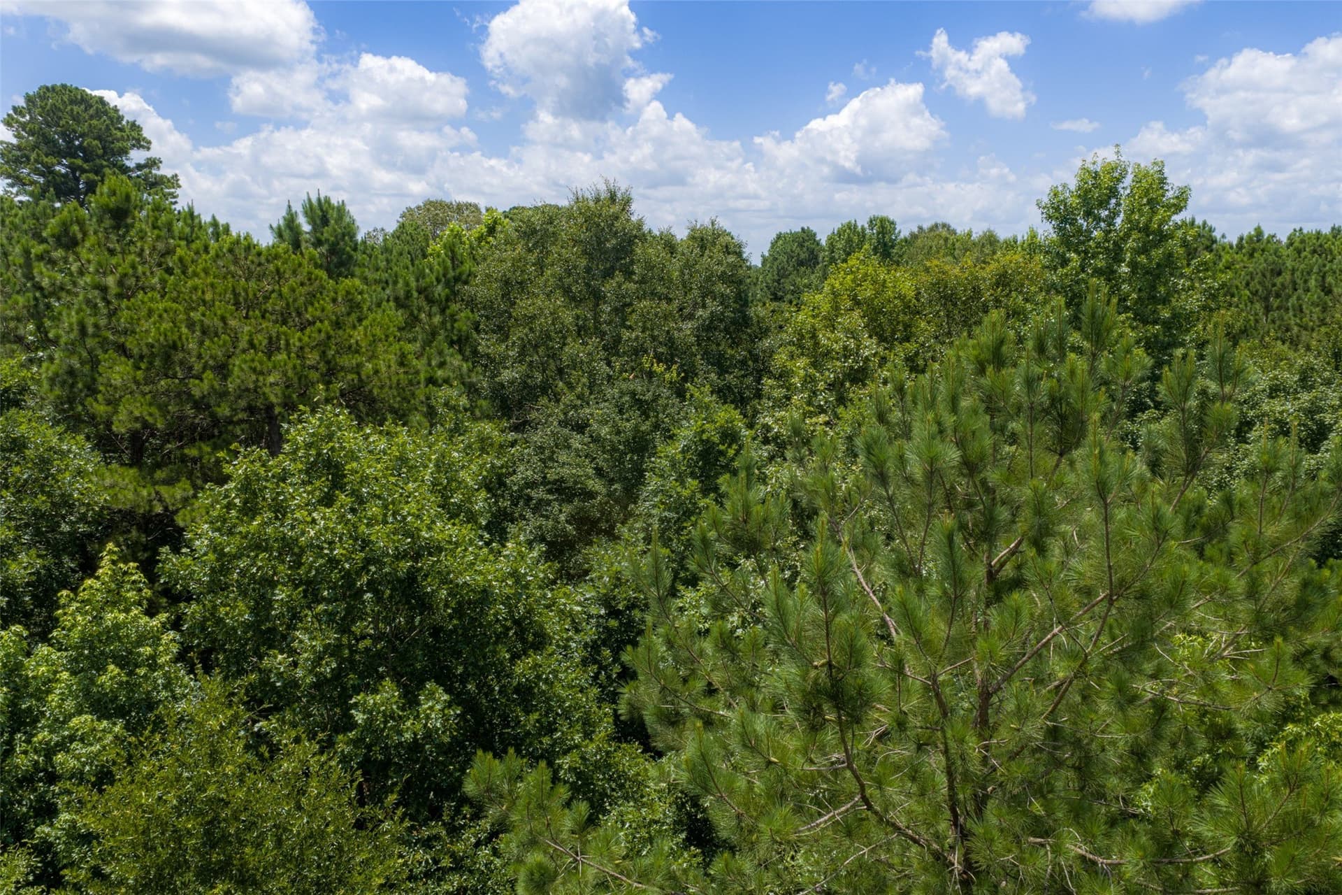 9.99 acres in Panola County - photo 35