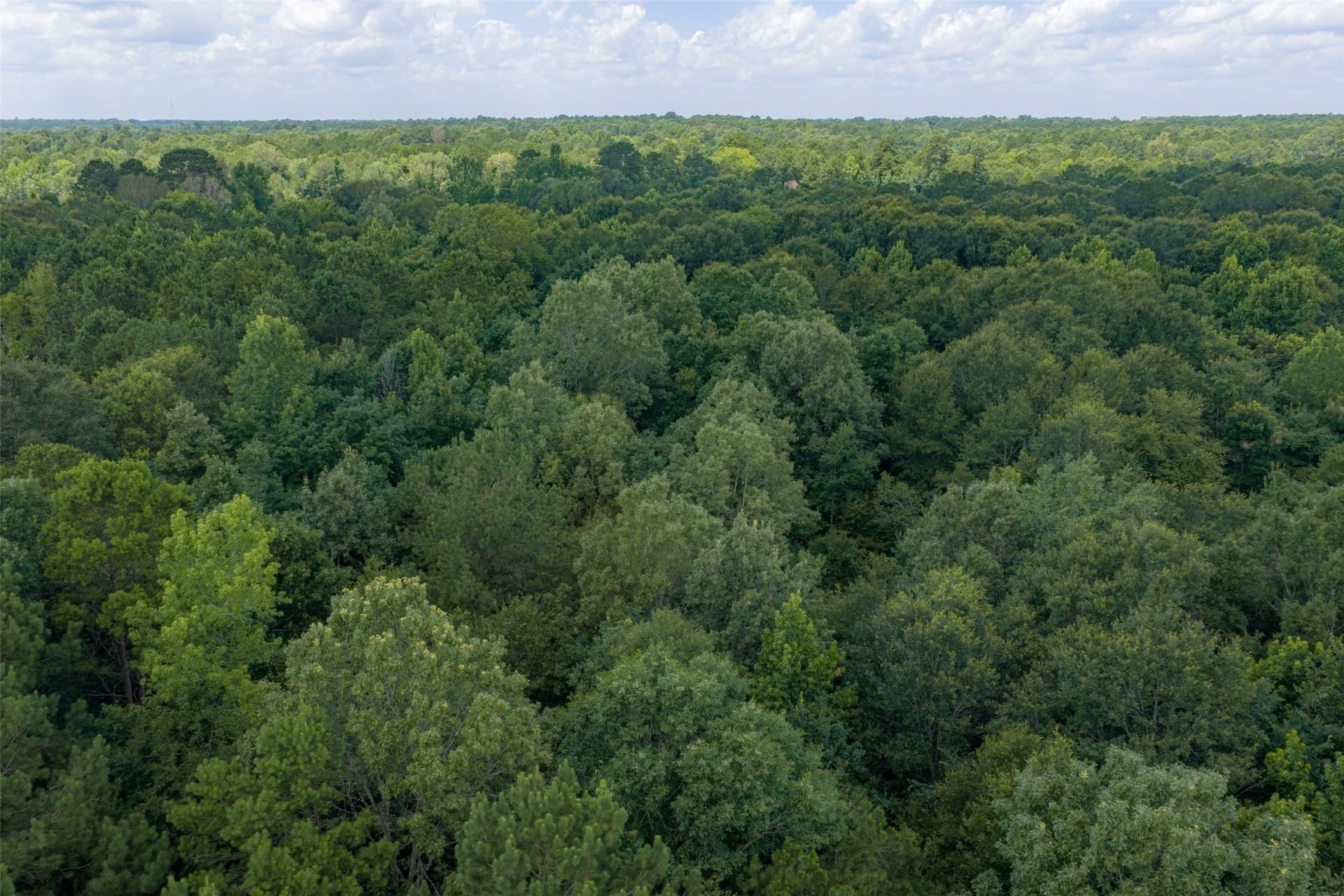 9.99 acres in Panola County - photo 26
