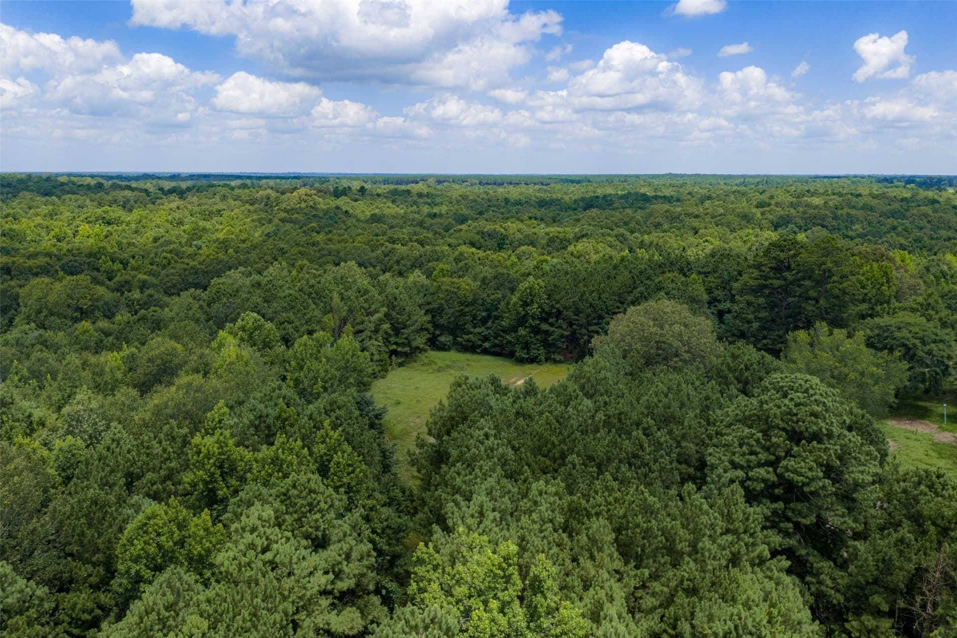 9.99 acres in Panola County