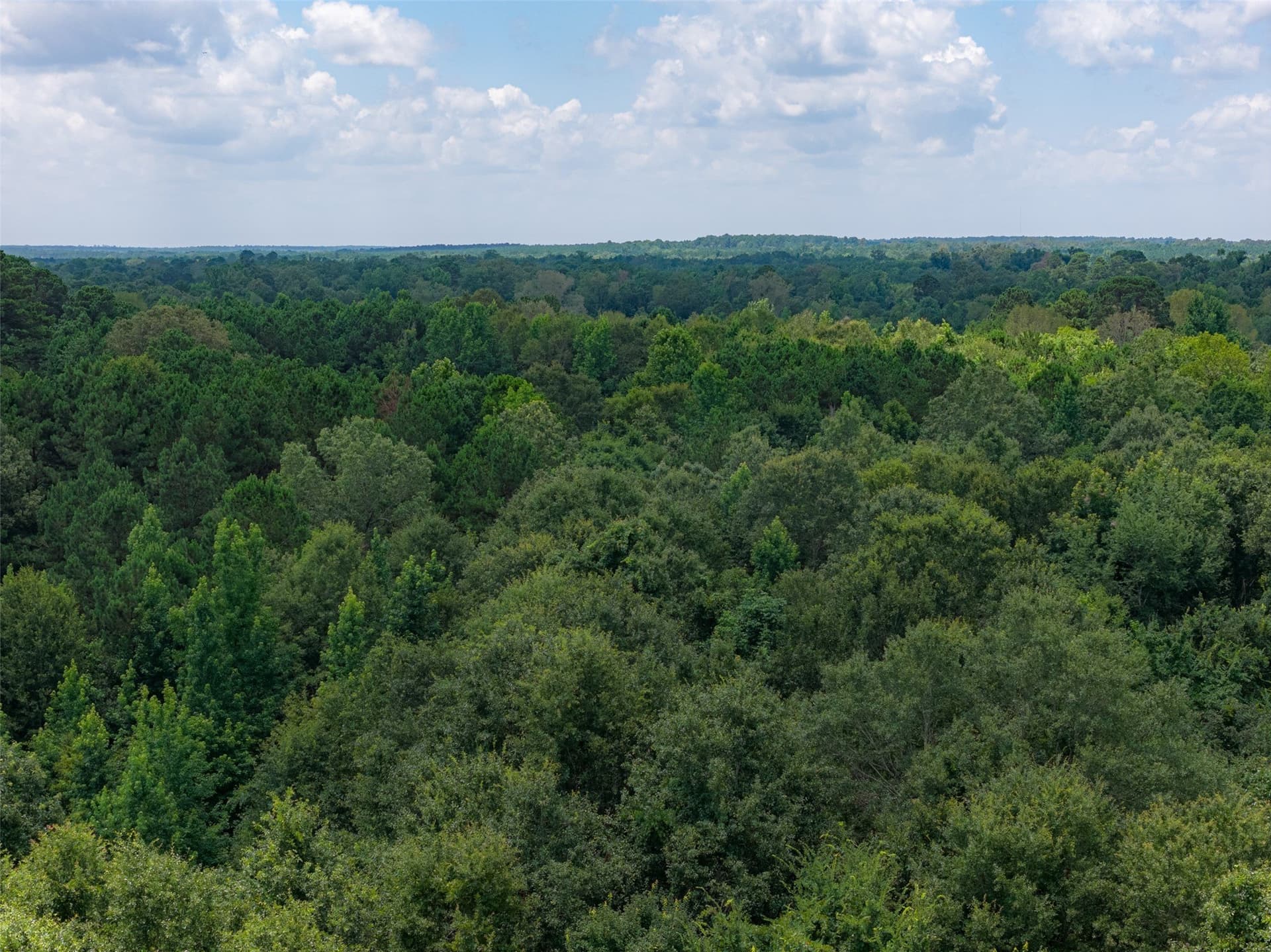 9.99 acres in Panola County - photo 37