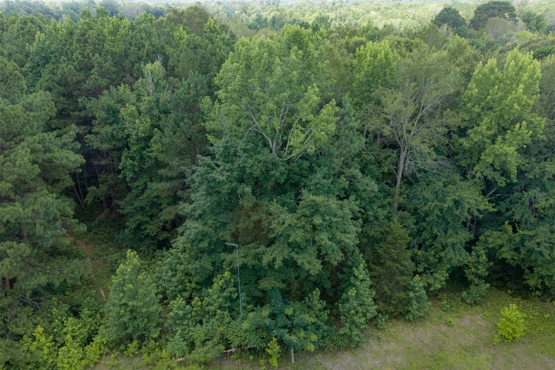 9.99 acres in Panola County - photo 13