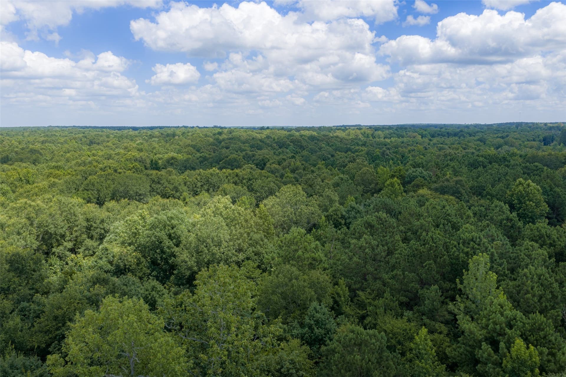 9.99 acres in Panola County - photo 4