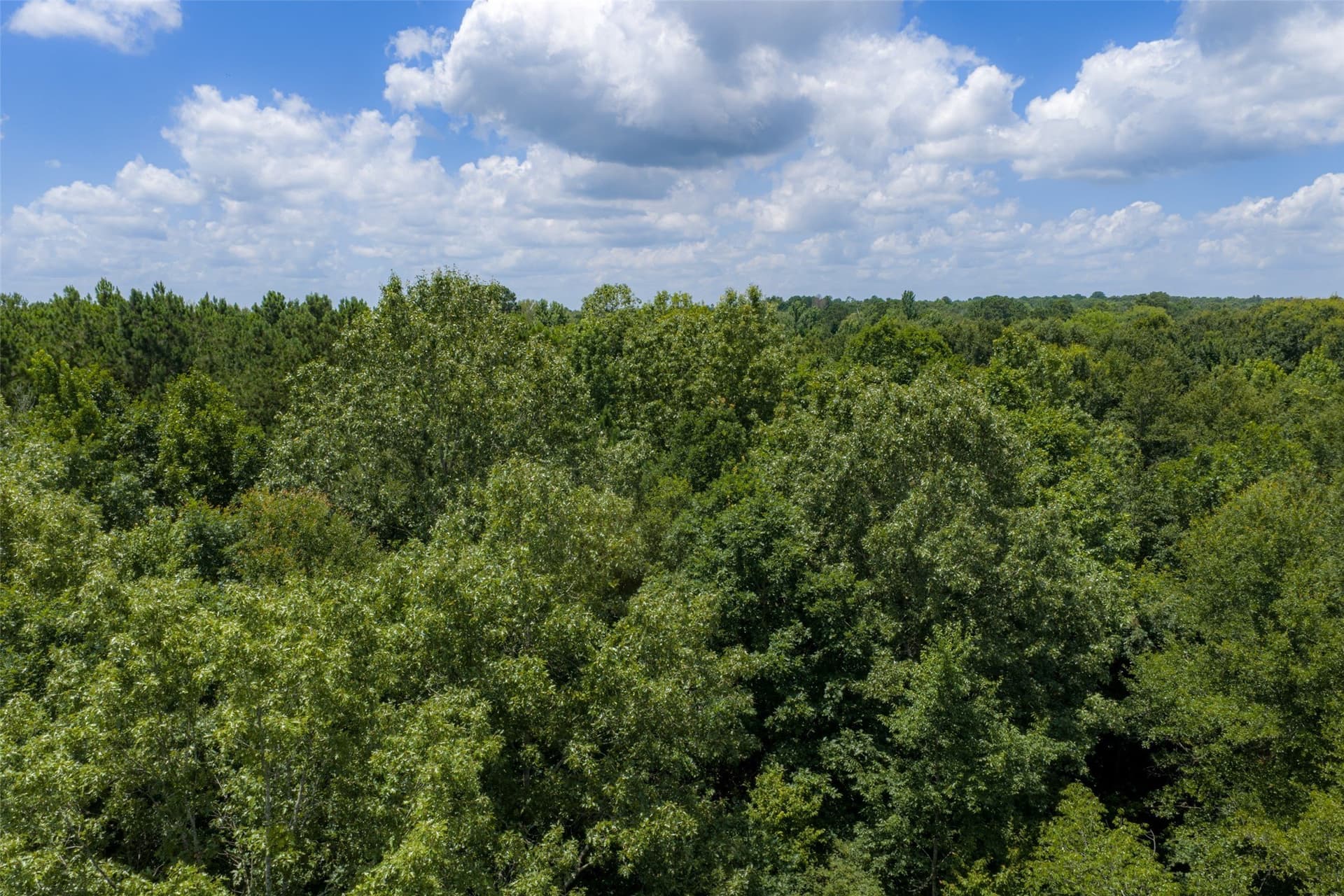 9.99 acres in Panola County - photo 31