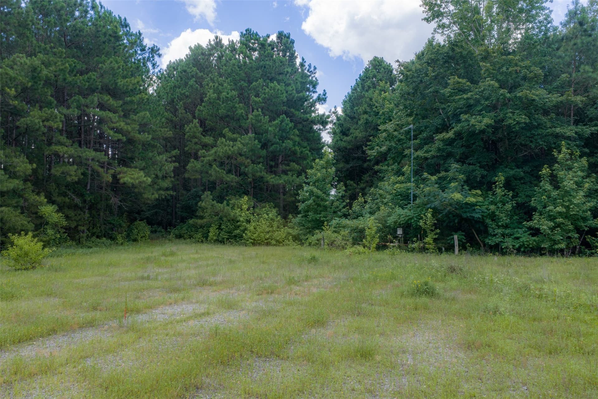 9.99 acres in Panola County - photo 24