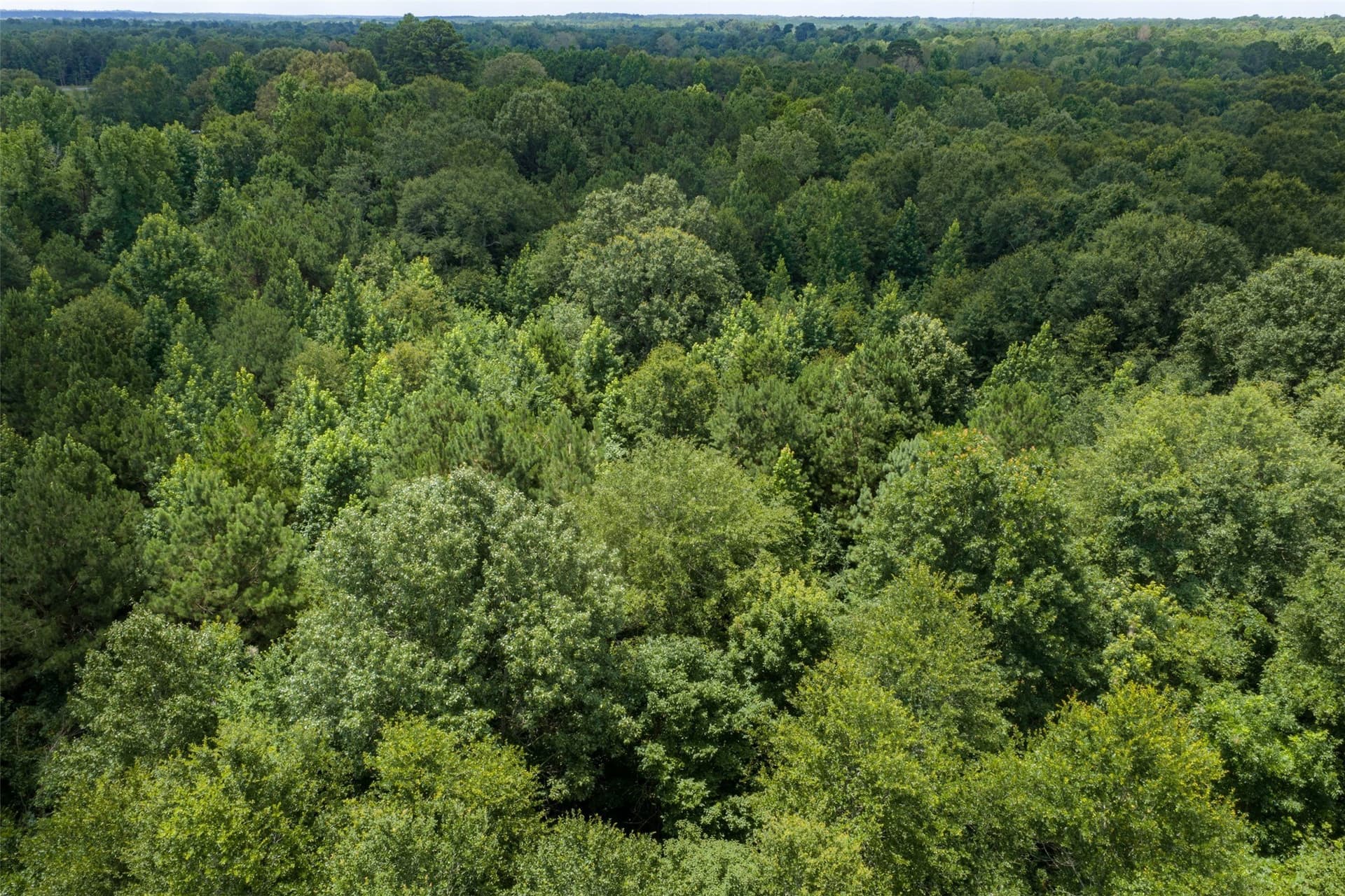 9.99 acres in Panola County - photo 19