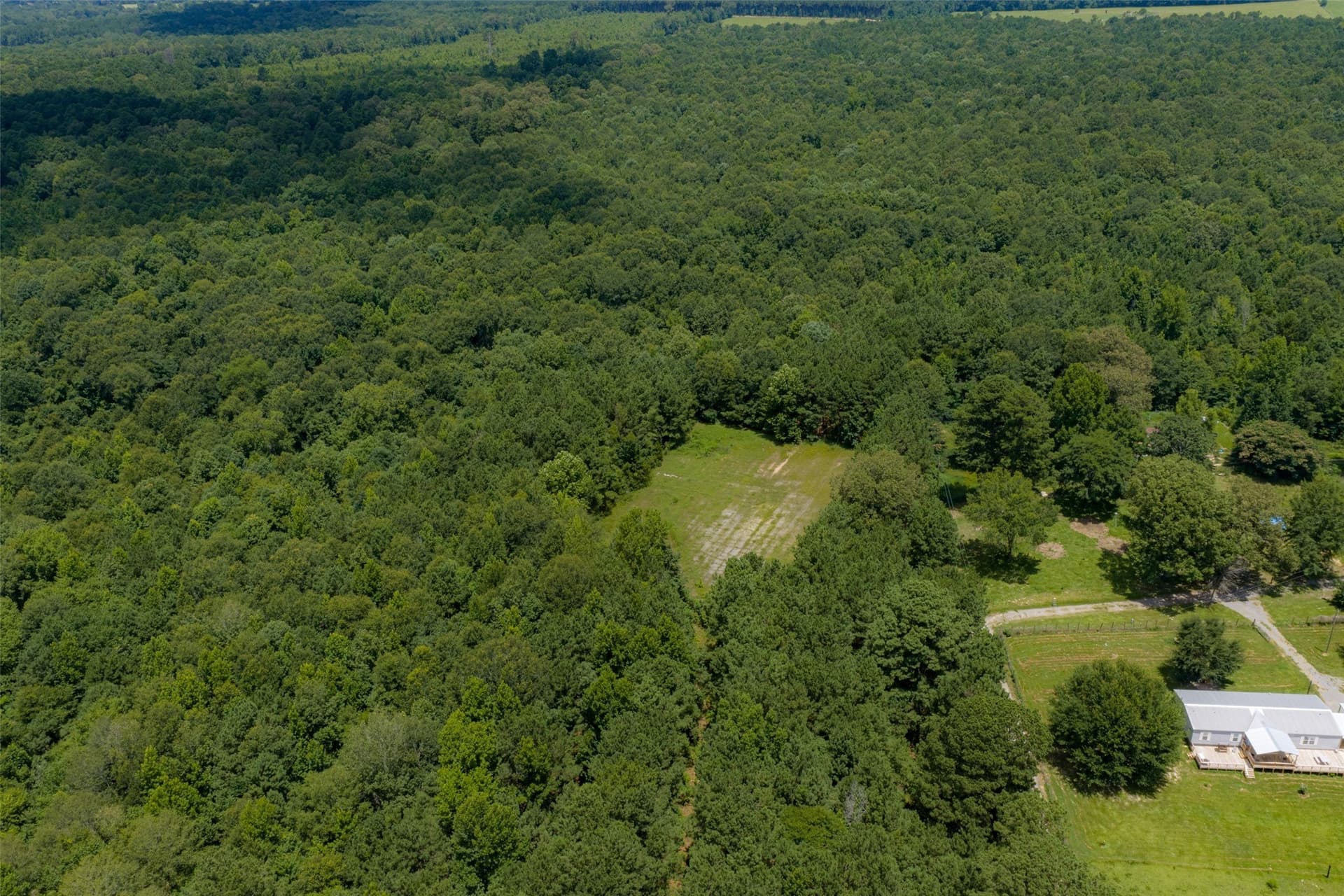 9.99 acres in Panola County - photo 29