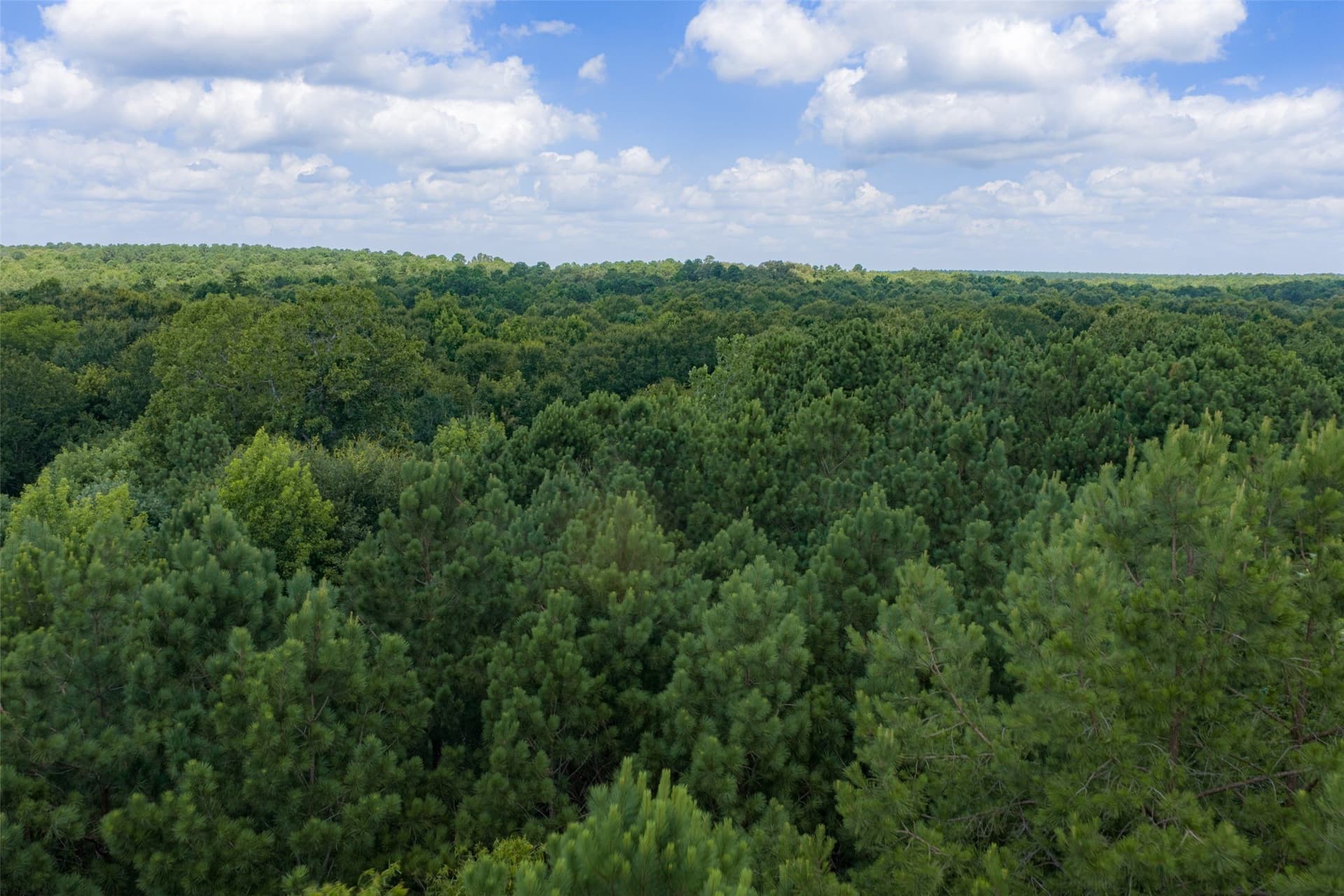 9.99 acres in Panola County - photo 34