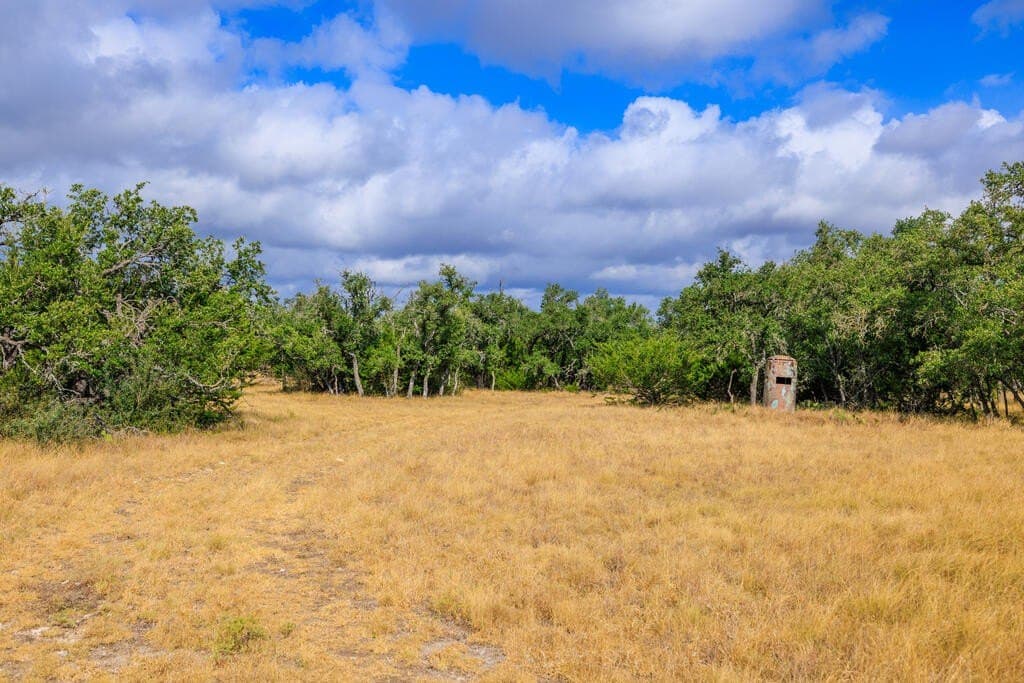 10.45 acres in Gillespie County - photo 14