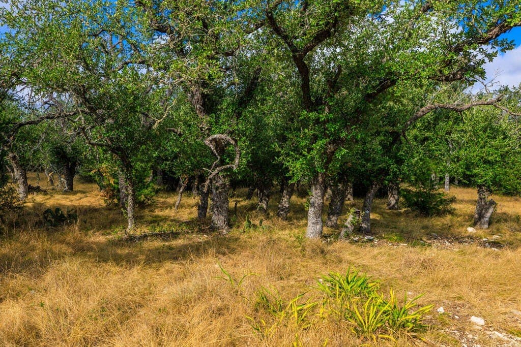 10.45 acres in Gillespie County - photo 9