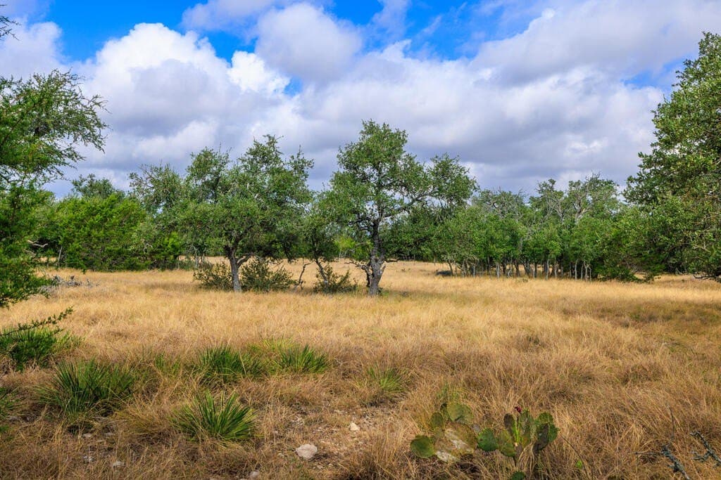 10.45 acres in Gillespie County - photo 12