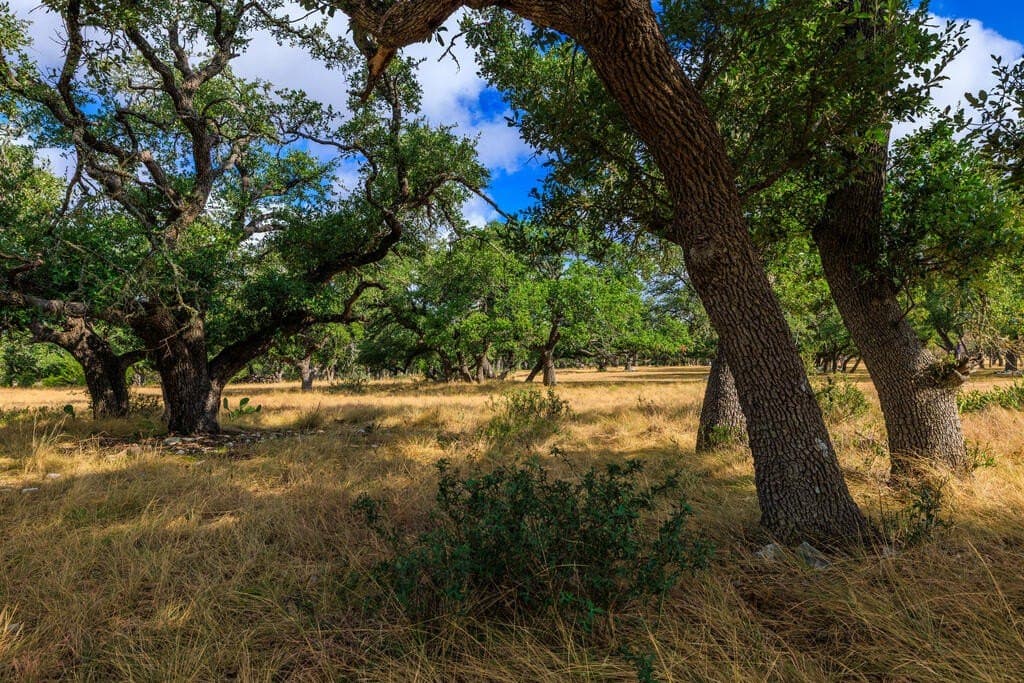 10.45 acres in Gillespie County - photo 8