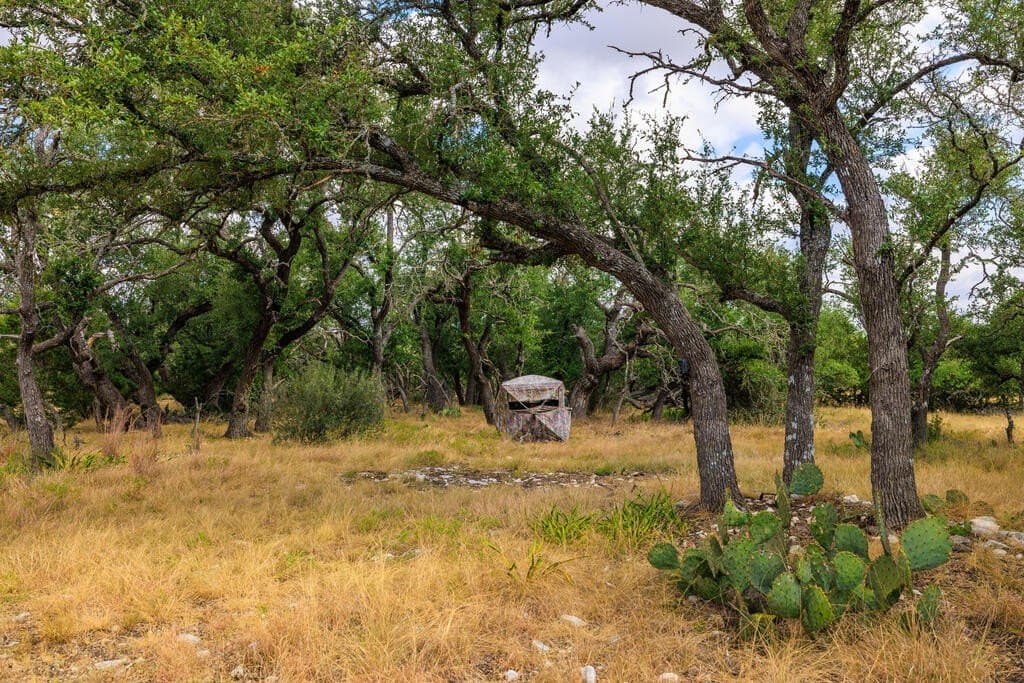 10.45 acres in Gillespie County - photo 10