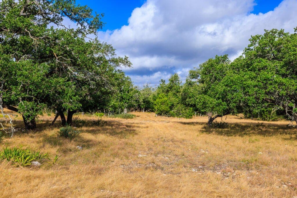 10.45 acres in Gillespie County - photo 7