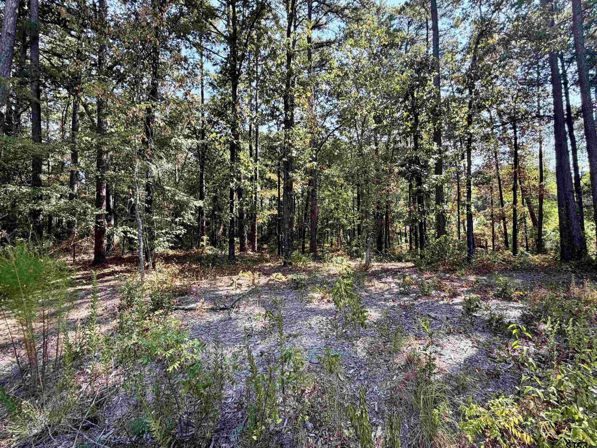 1 acres in Smith County - photo 8
